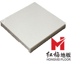 <b>全鋁防靜電地板</b>